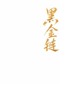 黑金链条大包女款
